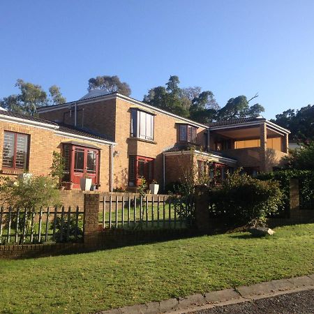 Blue Fern Of Knysna Bed & Breakfast Ngoại thất bức ảnh