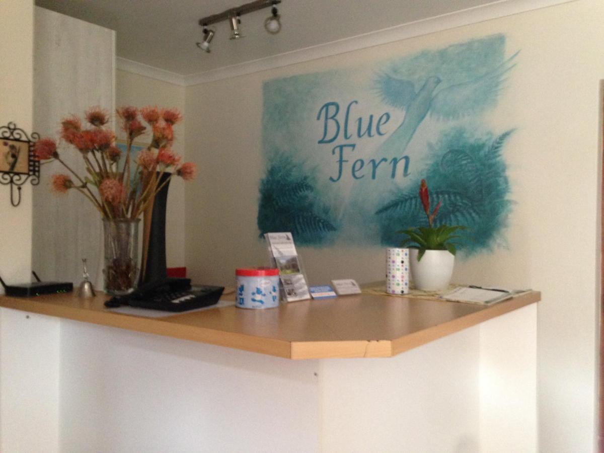 Blue Fern Of Knysna Bed & Breakfast Ngoại thất bức ảnh