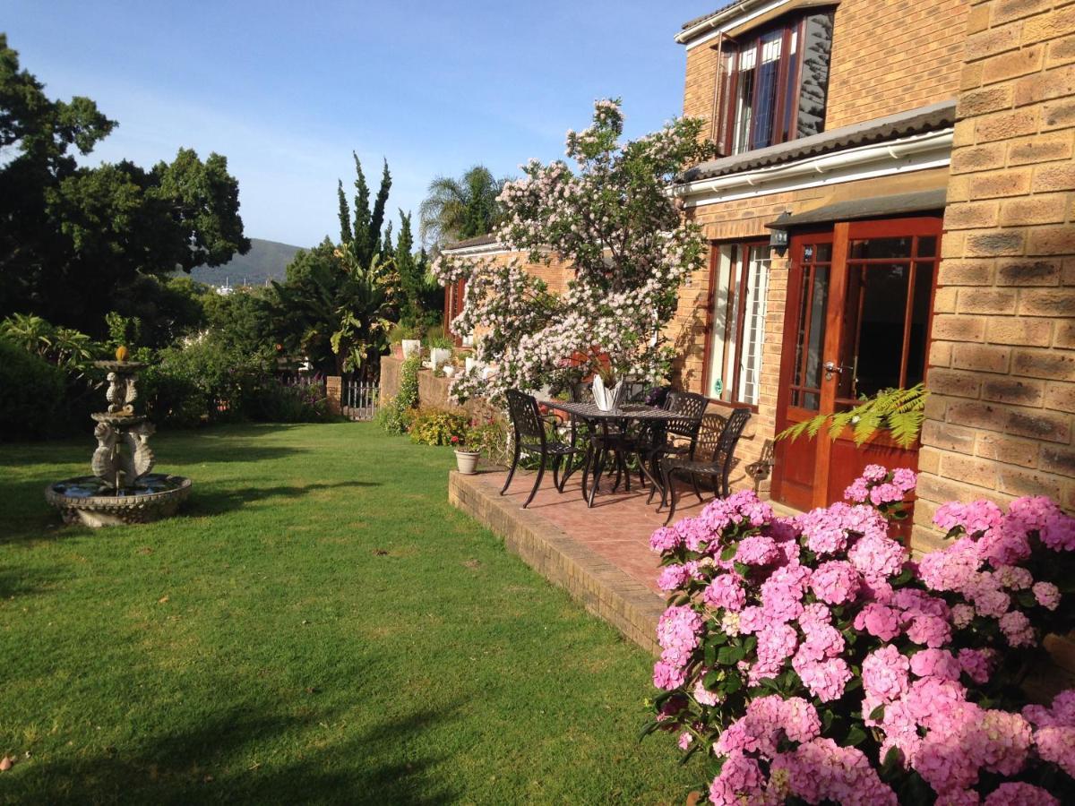 Blue Fern Of Knysna Bed & Breakfast Ngoại thất bức ảnh