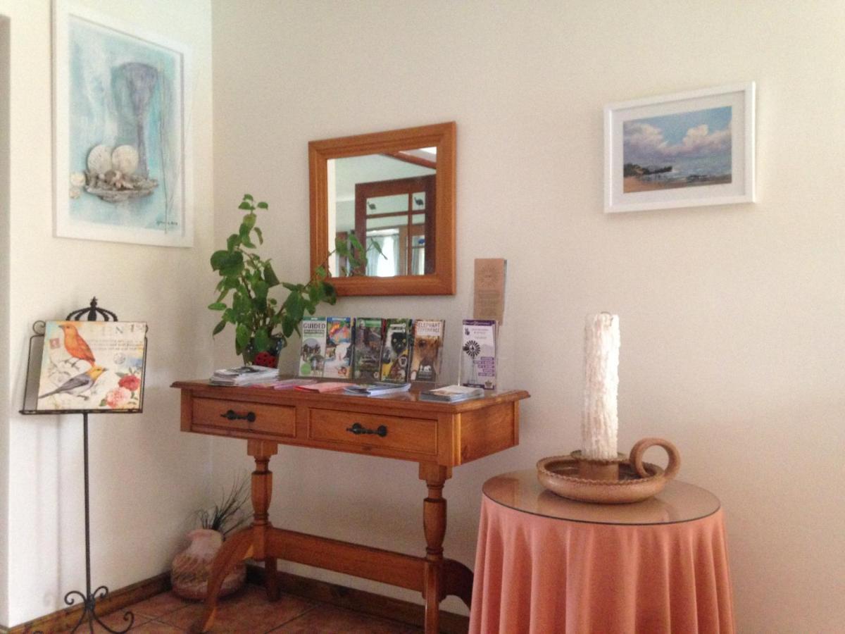 Blue Fern Of Knysna Bed & Breakfast Ngoại thất bức ảnh