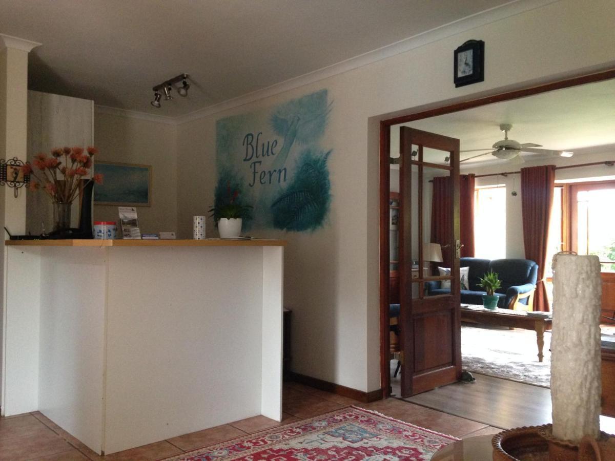 Blue Fern Of Knysna Bed & Breakfast Ngoại thất bức ảnh
