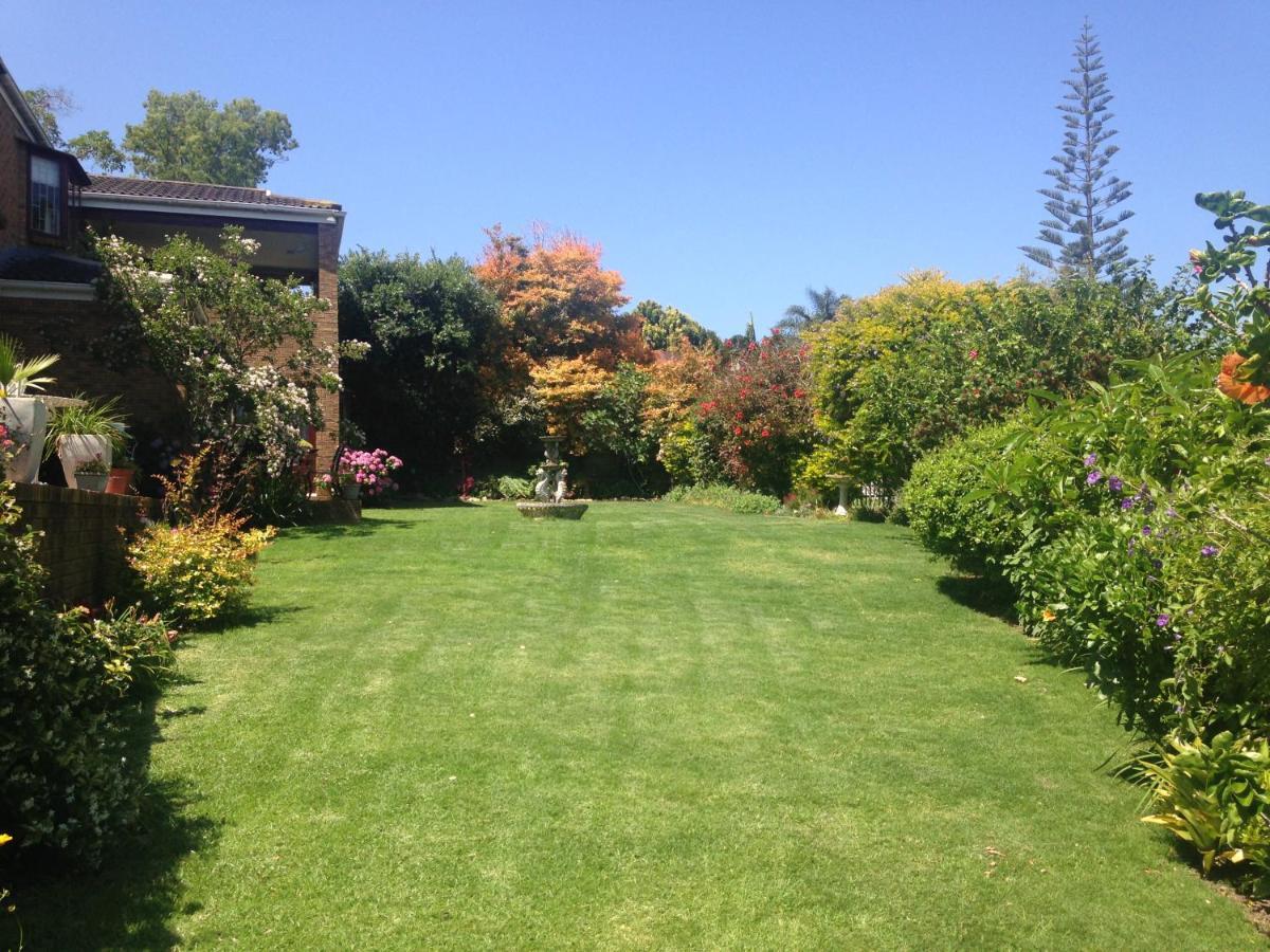 Blue Fern Of Knysna Bed & Breakfast Ngoại thất bức ảnh