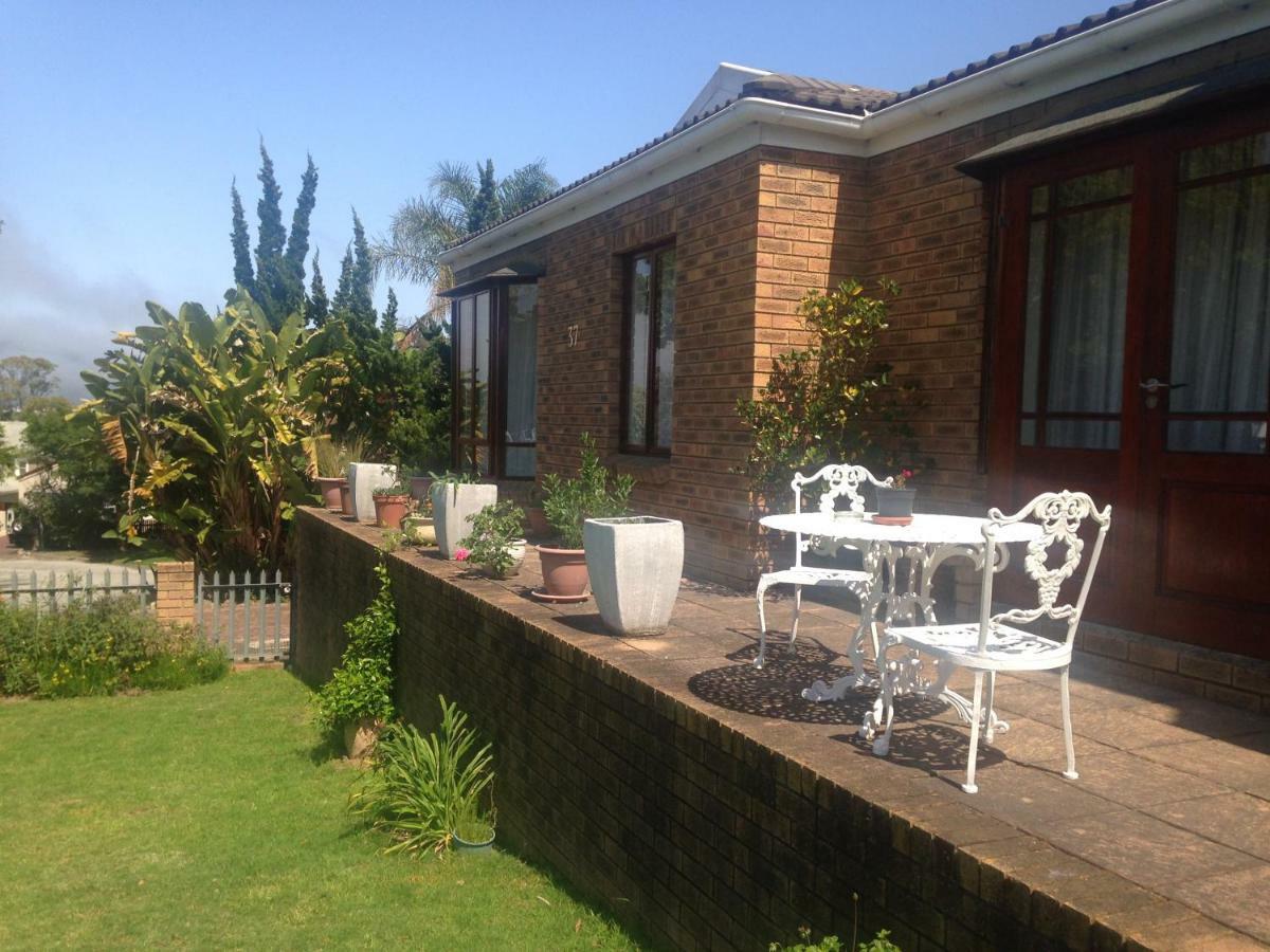 Blue Fern Of Knysna Bed & Breakfast Ngoại thất bức ảnh